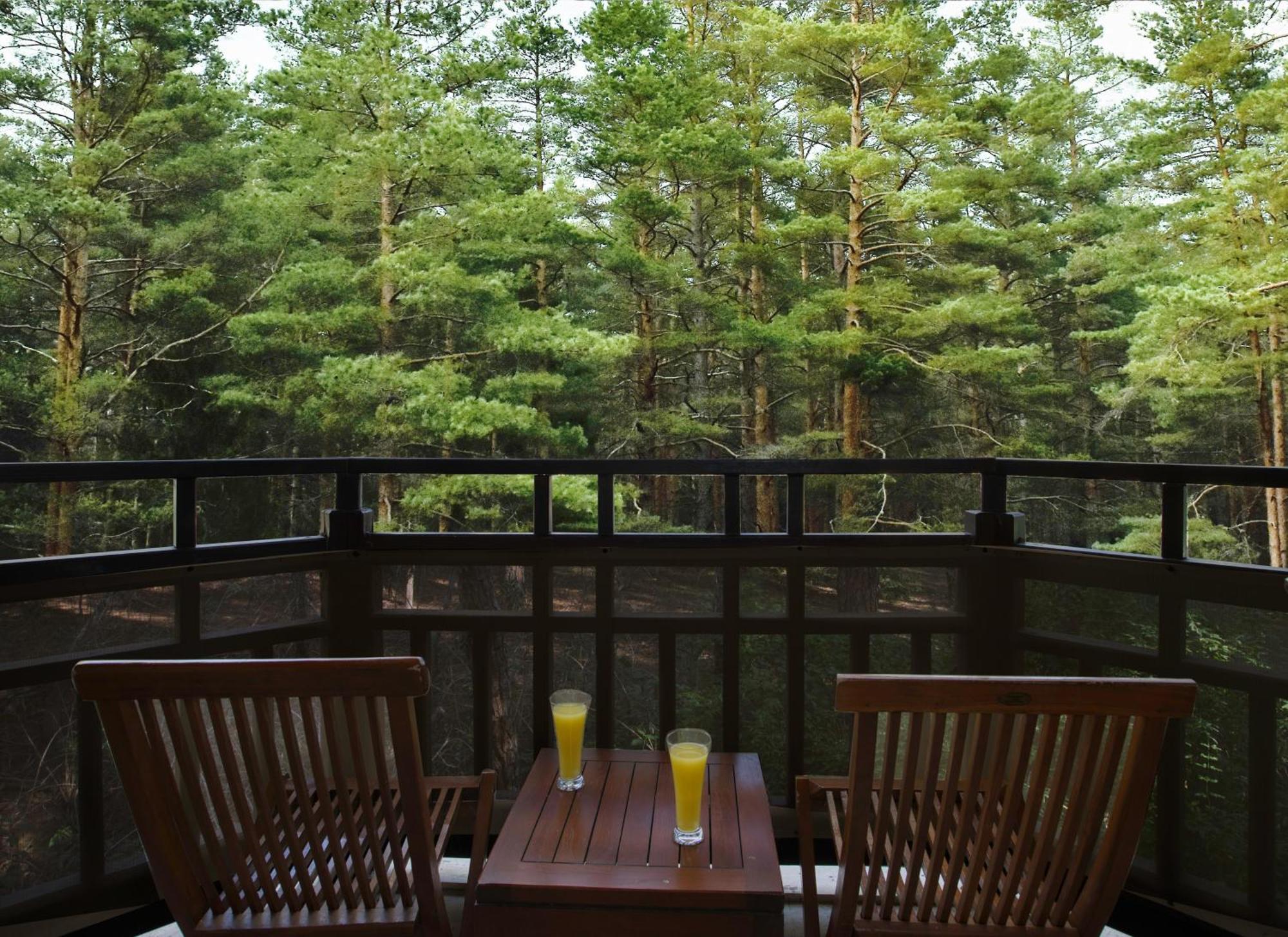 אנטליה Asteria Family Resort Belek מראה חיצוני תמונה A view of the forest from the balcony of a guest room